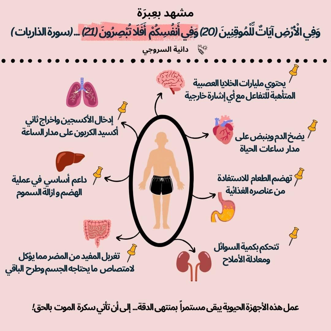 WhatsApp Image 2025 02 06 at 18.23.46 3660ab63