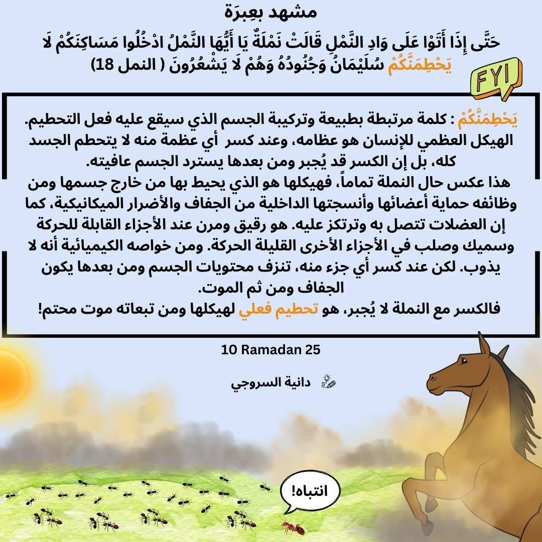 WhatsApp Image 2025 03 21 at 02.52.17 863b9578