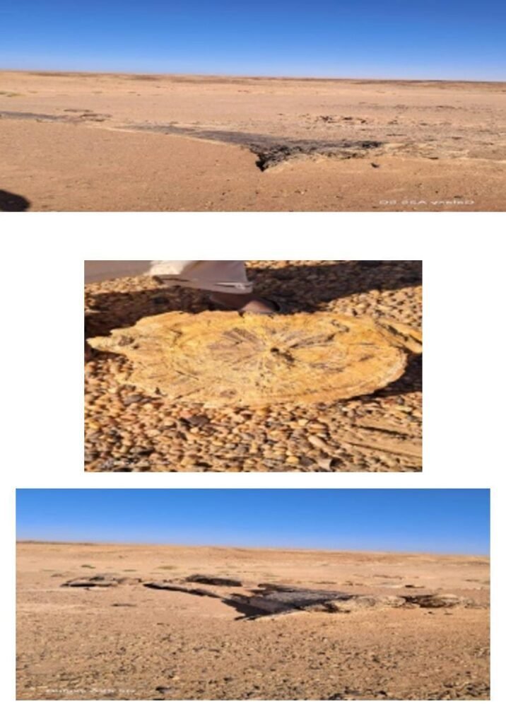 الكرو الأثرية: مدينة العجائب و الظواهر الغريبة 1 صورة واتساب بتاريخ 1446 10 10 في 18.54.34 9d931ea1