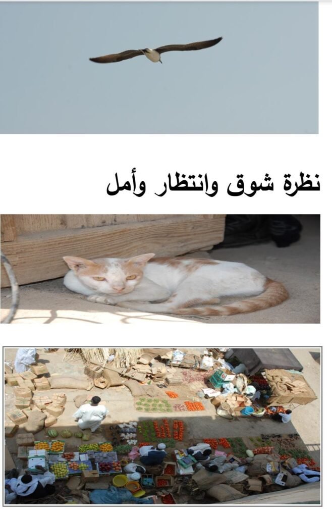 صورة واتساب بتاريخ 1447 05 29 في 20.01.32 bb8ded28