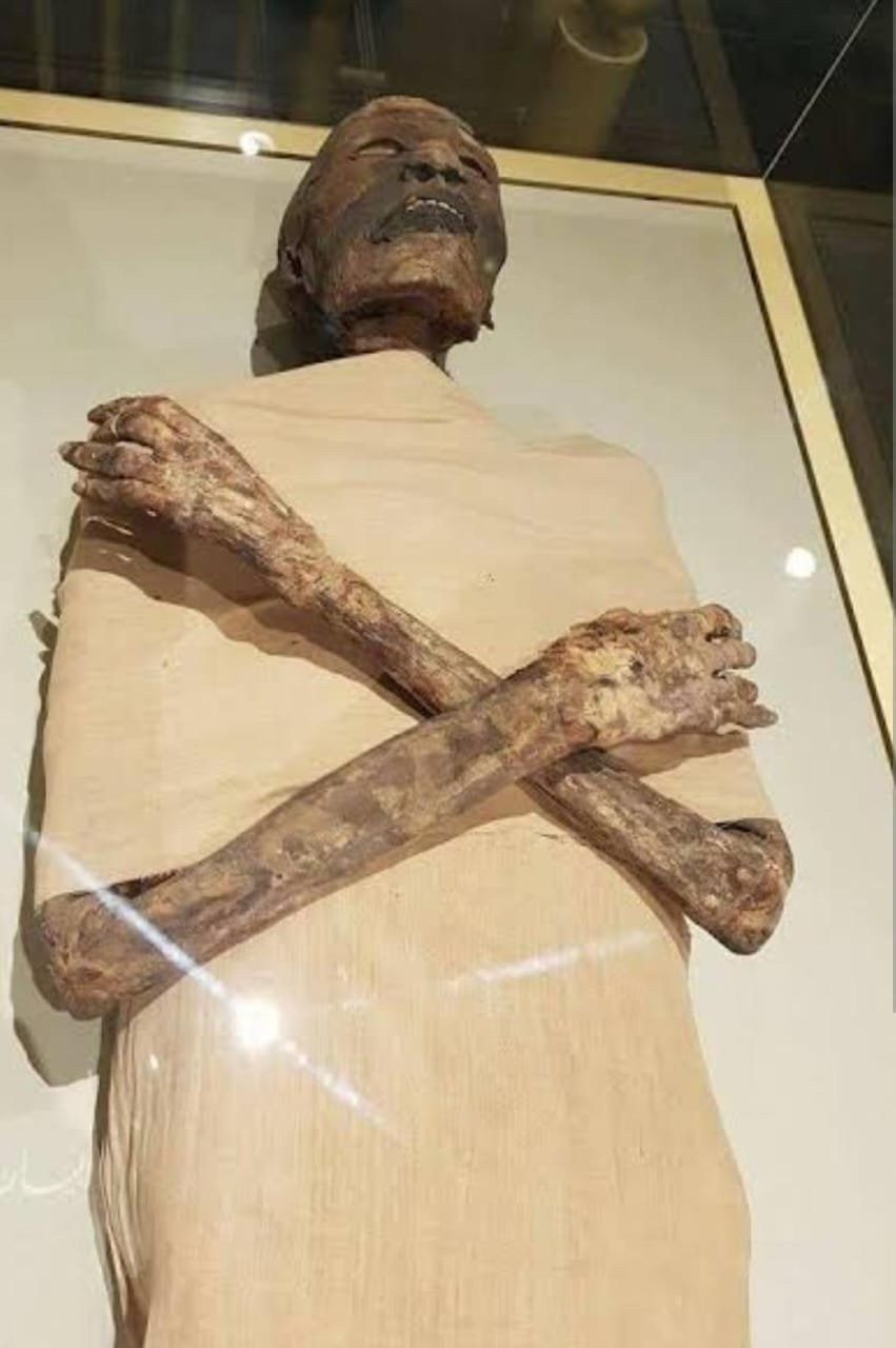 صورة واتساب بتاريخ 1447 06 13 في 15.12.08 14c08e12