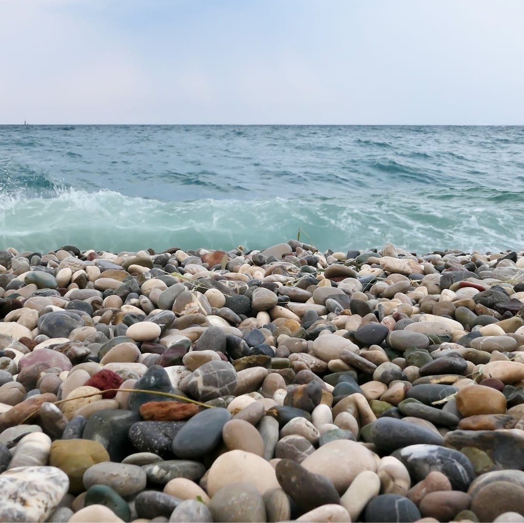 WhatsApp Image 2026 01 15 at 4.23.18 PM