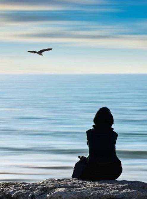 WhatsApp Image 2026 01 22 at 7.03.37 PM