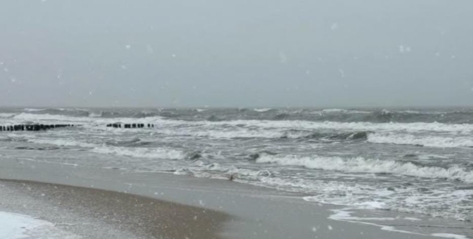 WhatsApp Image 2026 01 22 at 7.22.03 PM