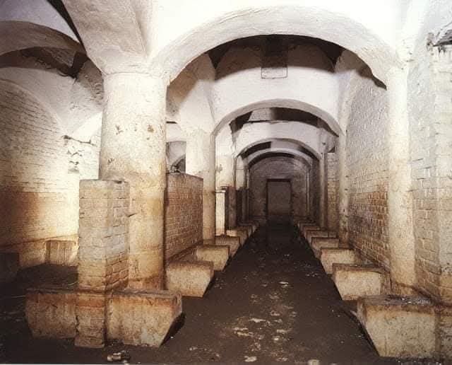 WhatsApp Image 2026 01 22 at 8.18.08 PM