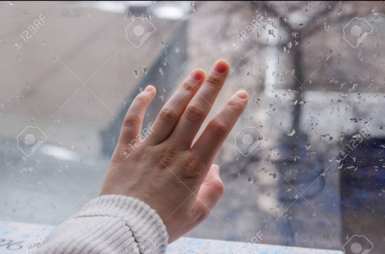 WhatsApp Image 2026 02 11 at 8.23.13 PM