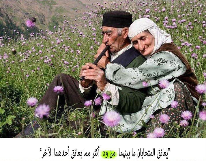 عمر 5 IMG 20260619 WA0010