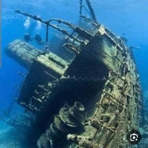 WhatsApp Image 2025-01-02 at 16.08.34_734da04e