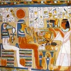 WhatsApp Image 2025-01-09 at 14.11.58_fdecdf17