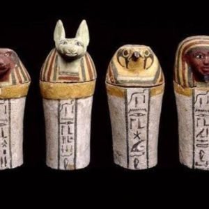 WhatsApp Image 2025-01-22 at 21.25.54_2b379b8a