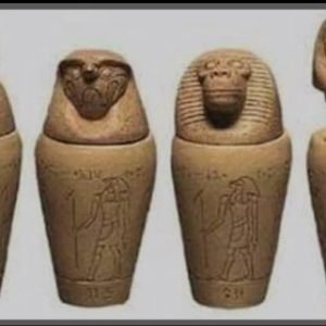 WhatsApp Image 2025-01-30 at 15.55.40_6a8df20e