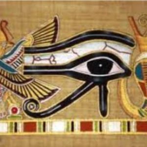 WhatsApp Image 2025-02-06 at 17.35.52_4c2aa4ea