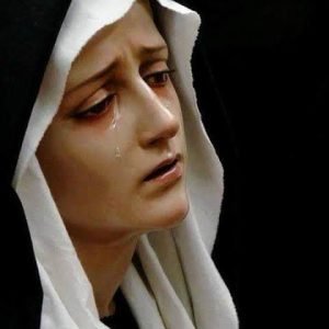 WhatsApp Image 2025-03-04 at 14.05.03_53c8301a