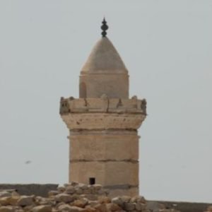 WhatsApp Image 2025-03-06 at 11.12.06_98ccd776