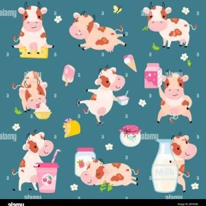 WhatsApp Image 2025-03-12 at 19.38.38_d495e41f