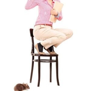 WhatsApp Image 2025-04-02 at 17.28.23_996b662b