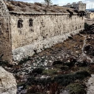 WhatsApp Image 2025-12-26 at 11.20.45 PM