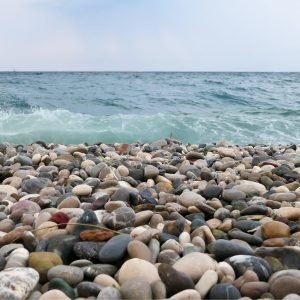 WhatsApp Image 2026-01-15 at 4.23.18 PM