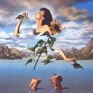 WhatsApp Image 2026-01-22 at 6.34.04 PM