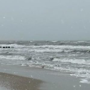 WhatsApp Image 2026-01-22 at 7.22.03 PM