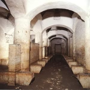 WhatsApp Image 2026-01-22 at 8.18.08 PM