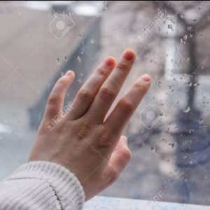 WhatsApp Image 2026-02-11 at 8.23.13 PM