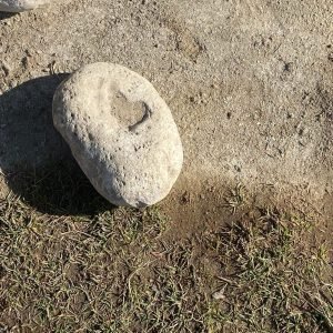 WhatsApp Image 2026-04-16 at 7.41.05 PM