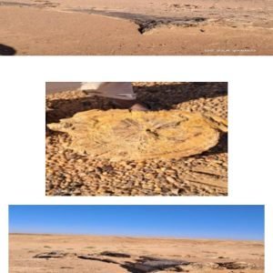 صورة واتساب بتاريخ 1446-10-10 في 18.54.34_9d931ea1