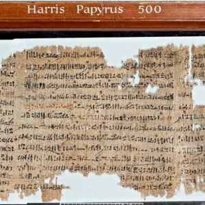 صورة واتساب بتاريخ 1446-10-19 في 17.46.04_e22630dd