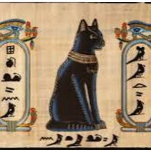 صورة واتساب بتاريخ 1446-10-19 في 18.30.07_9caa5ea6