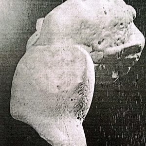 صورة واتساب بتاريخ 1446-10-26 في 15.45.25_40e00f37