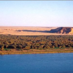 صورة واتساب بتاريخ 1446-11-10 في 11.21.51_5610b142