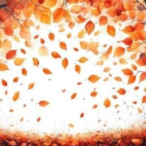 صورة واتساب بتاريخ 1447-01-14 في 17.41.54_9d5ef1af