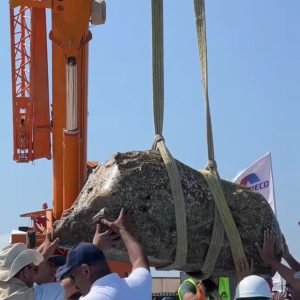 صورة واتساب بتاريخ 1447-03-12 في 23.04.00_0ada2790