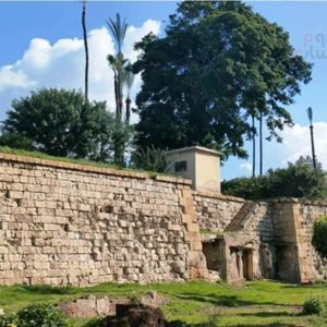 صورة واتساب بتاريخ 1447-06-13 في 14.24.22_153ed751 - Copy