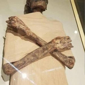 صورة واتساب بتاريخ 1447-06-13 في 15.12.08_14c08e12